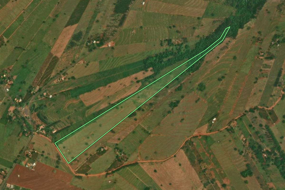 Imagem de satélite do imóvel rural em São Jorge do Patrocínio (PR), com o contorno declarado no CAR desenhado por cima.