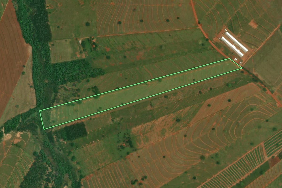 Imagem de satélite do imóvel rural em São Jorge do Patrocínio (PR), com o contorno declarado no CAR desenhado por cima.