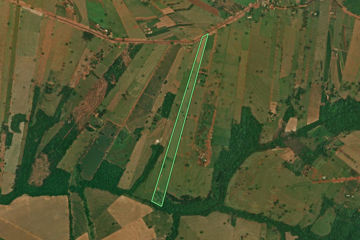Imagem de satélite do imóvel rural em São Jorge do Patrocínio (PR), com o contorno declarado no CAR desenhado por cima.