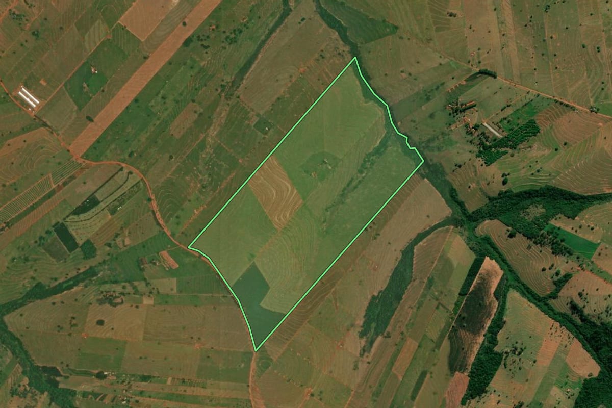 Imagem de satélite do imóvel rural em São Jorge do Patrocínio (PR), com o contorno declarado no CAR desenhado por cima.