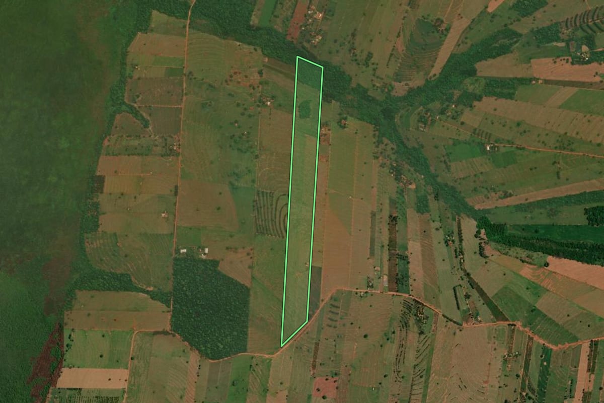 Imagem de satélite do imóvel rural em São Jorge do Patrocínio (PR), com o contorno declarado no CAR desenhado por cima.