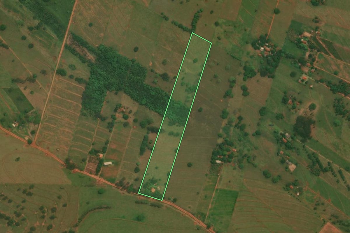 Imagem de satélite do imóvel rural em São Jorge do Patrocínio (PR), com o contorno declarado no CAR desenhado por cima.