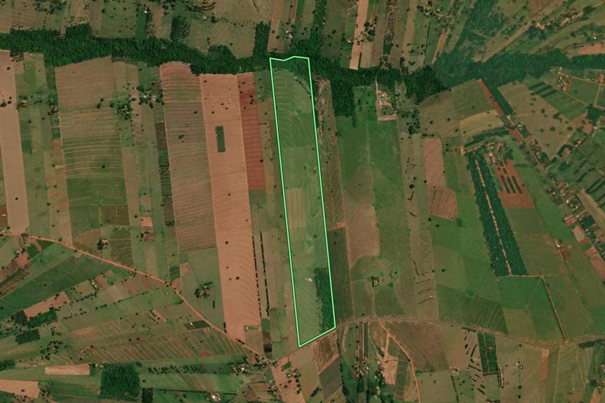 Imagem de satélite do imóvel rural em São Jorge do Patrocínio (PR), com o contorno declarado no CAR desenhado por cima.