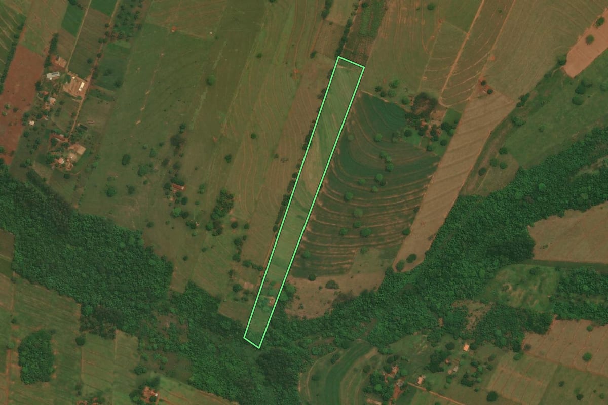 Imagem de satélite do imóvel rural em São Jorge do Patrocínio (PR), com o contorno declarado no CAR desenhado por cima.