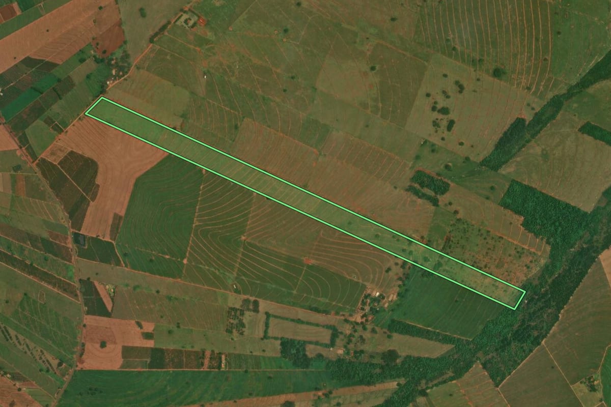 Imagem de satélite do imóvel rural em São Jorge do Patrocínio (PR), com o contorno declarado no CAR desenhado por cima.