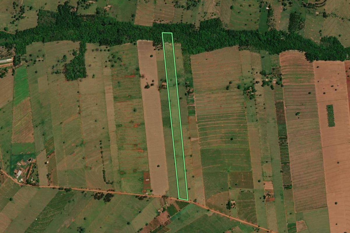 Imagem de satélite do imóvel rural em São Jorge do Patrocínio (PR), com o contorno declarado no CAR desenhado por cima.