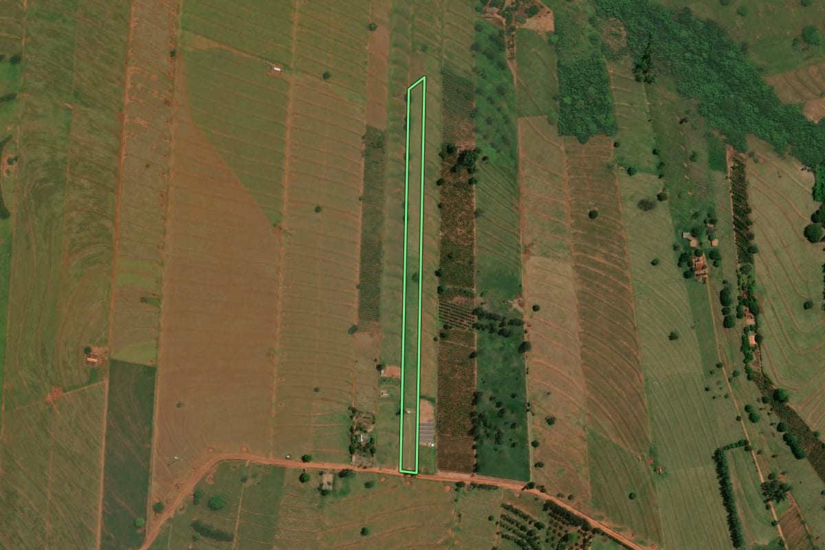 Imagem de satélite do imóvel rural em São Jorge do Patrocínio (PR), com o contorno declarado no CAR desenhado por cima.