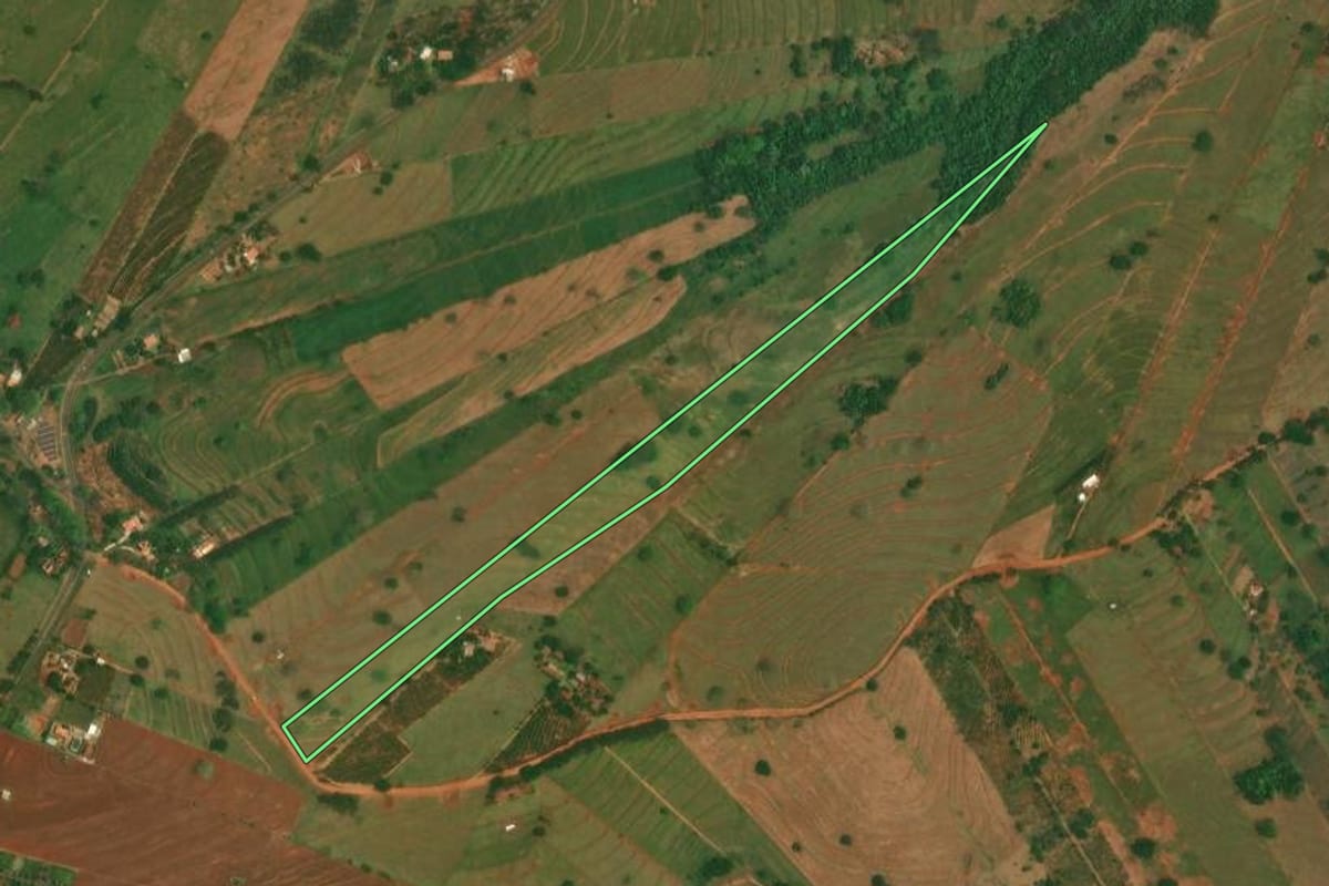 Imagem de satélite do imóvel rural em São Jorge do Patrocínio (PR), com o contorno declarado no CAR desenhado por cima.