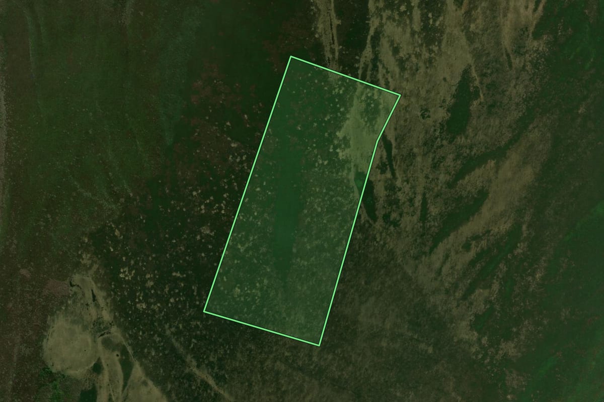 Imagem de satélite do imóvel rural em São Jorge do Patrocínio (PR), com o contorno declarado no CAR desenhado por cima.