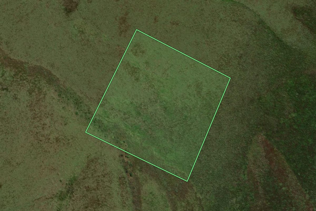 Imagem de satélite do imóvel rural em São Jorge do Patrocínio (PR), com o contorno declarado no CAR desenhado por cima.