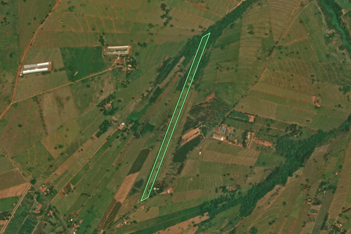 Imagem de satélite do imóvel rural em São Jorge do Patrocínio (PR), com o contorno declarado no CAR desenhado por cima.