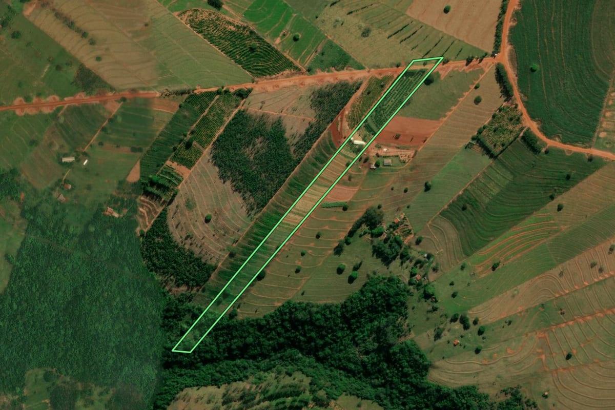 Imagem de satélite do imóvel rural em São Jorge do Patrocínio (PR), com o contorno declarado no CAR desenhado por cima.