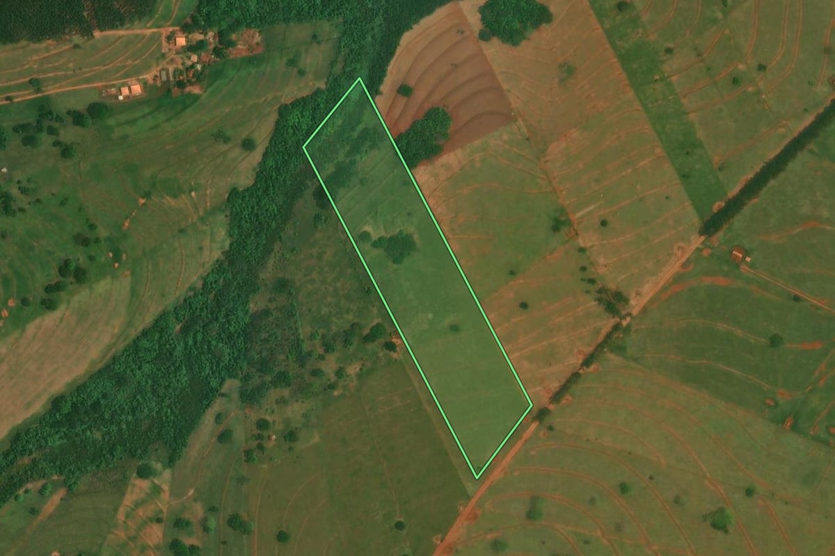 Imagem de satélite do imóvel rural em São Jorge do Patrocínio (PR), com o contorno declarado no CAR desenhado por cima.