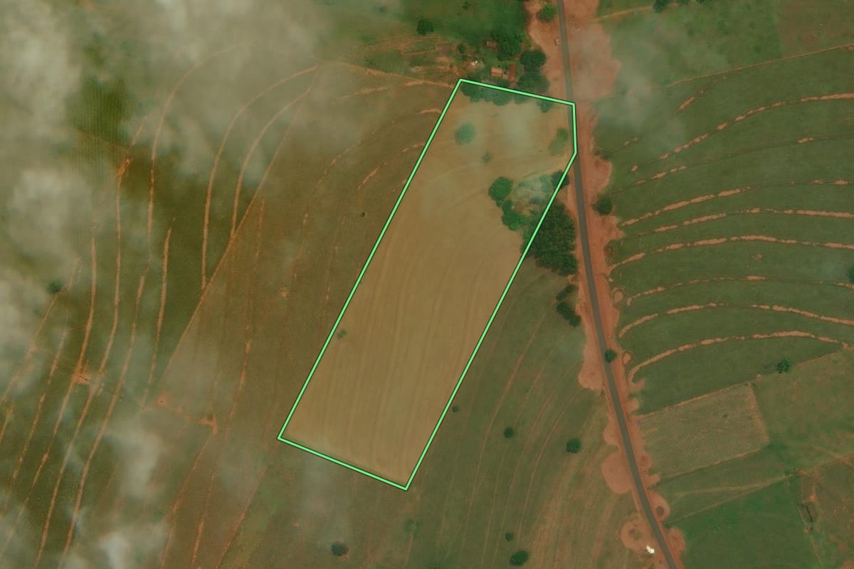 Imagem de satélite do imóvel rural em São Jorge do Patrocínio (PR), com o contorno declarado no CAR desenhado por cima.