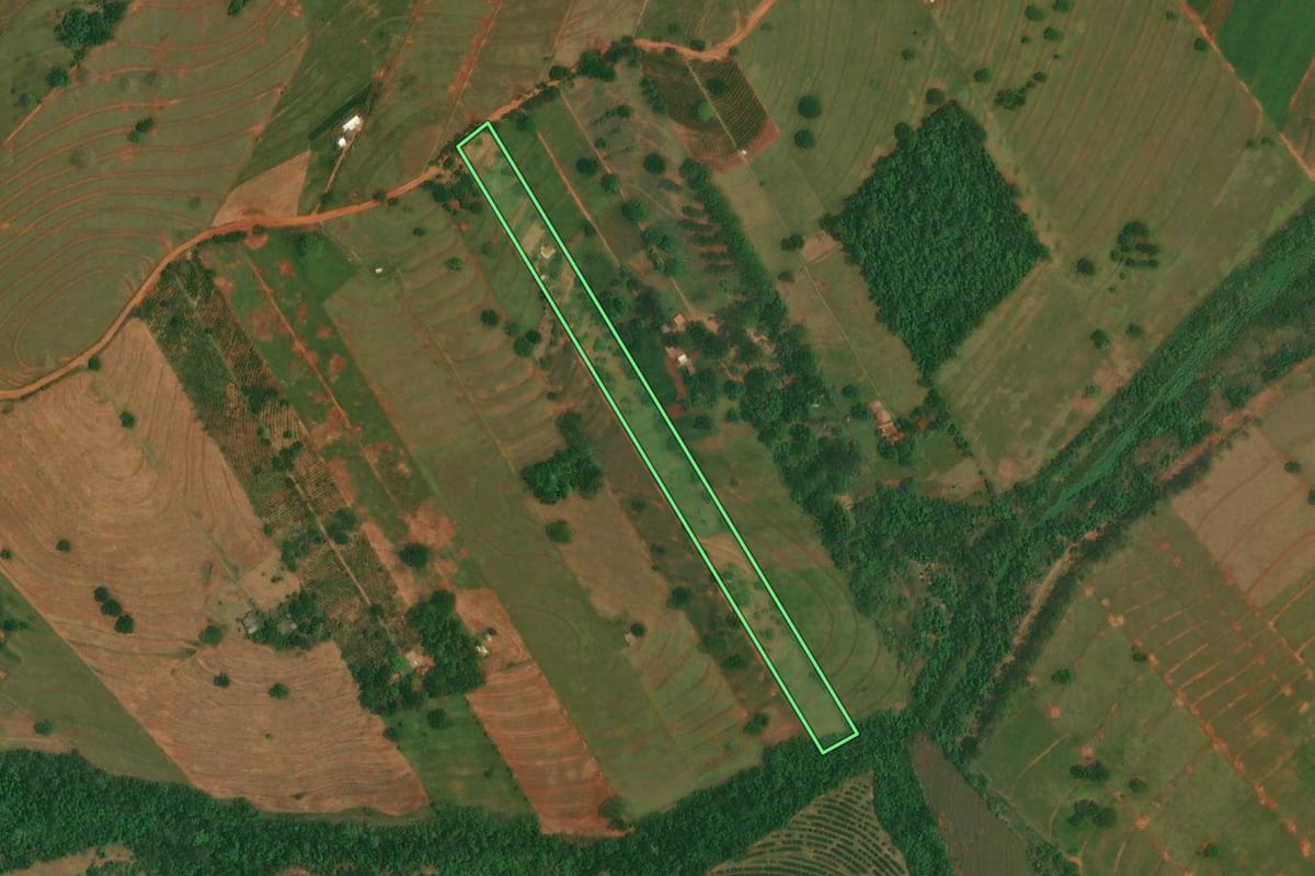 Imagem de satélite do imóvel rural em São Jorge do Patrocínio (PR), com o contorno declarado no CAR desenhado por cima.
