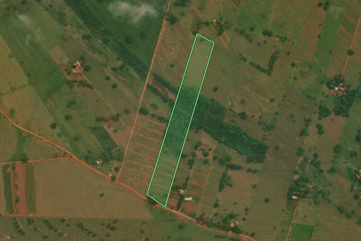 Imagem de satélite do imóvel rural em São Jorge do Patrocínio (PR), com o contorno declarado no CAR desenhado por cima.