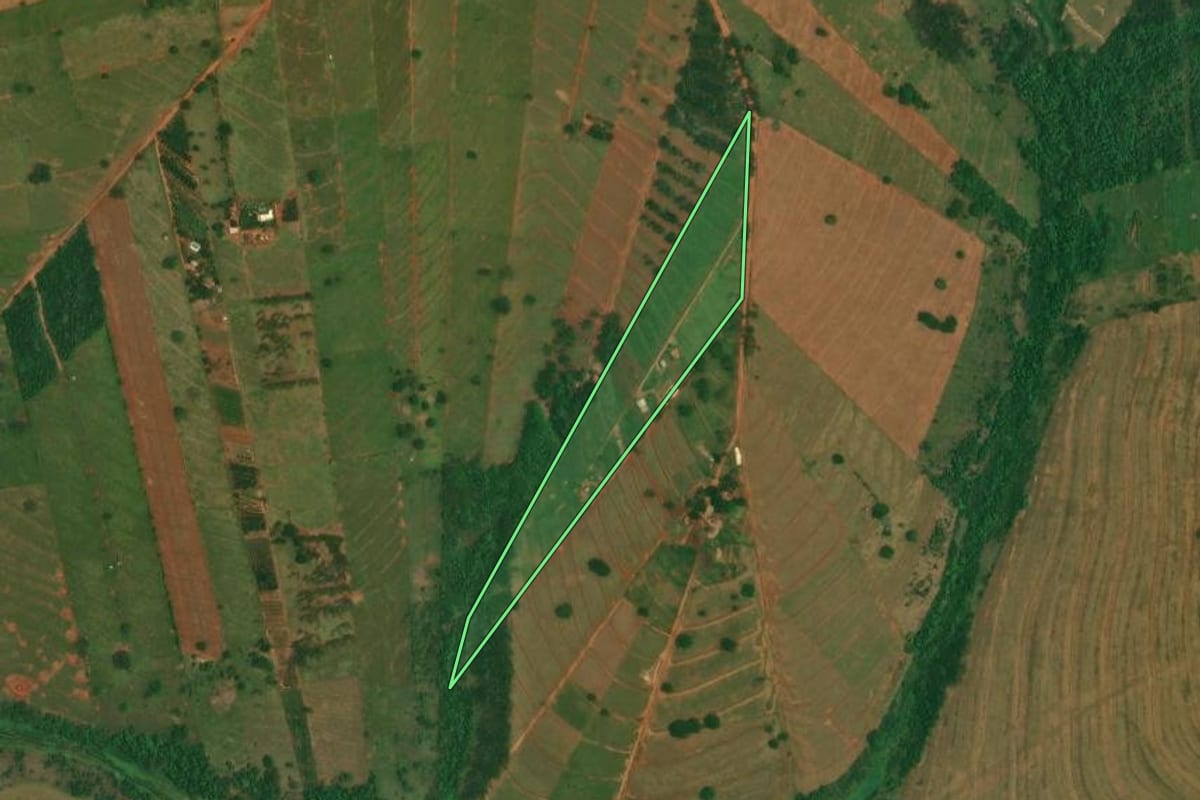 Imagem de satélite do imóvel rural em São Jorge do Patrocínio (PR), com o contorno declarado no CAR desenhado por cima.