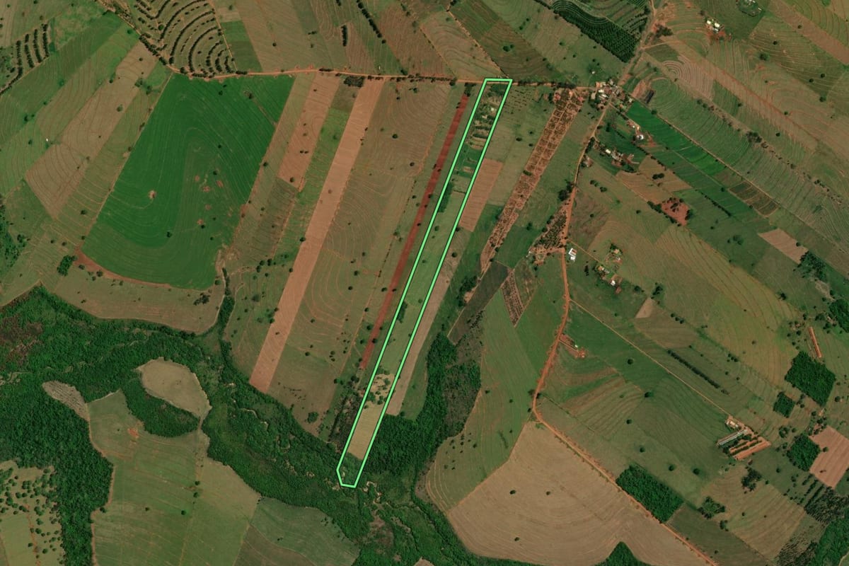Imagem de satélite do imóvel rural em São Jorge do Patrocínio (PR), com o contorno declarado no CAR desenhado por cima.