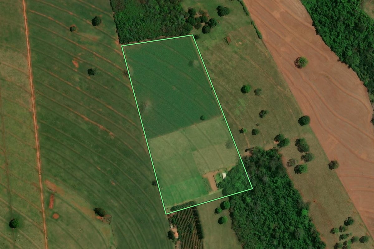 Imagem de satélite do imóvel rural em São Jorge do Patrocínio (PR), com o contorno declarado no CAR desenhado por cima.