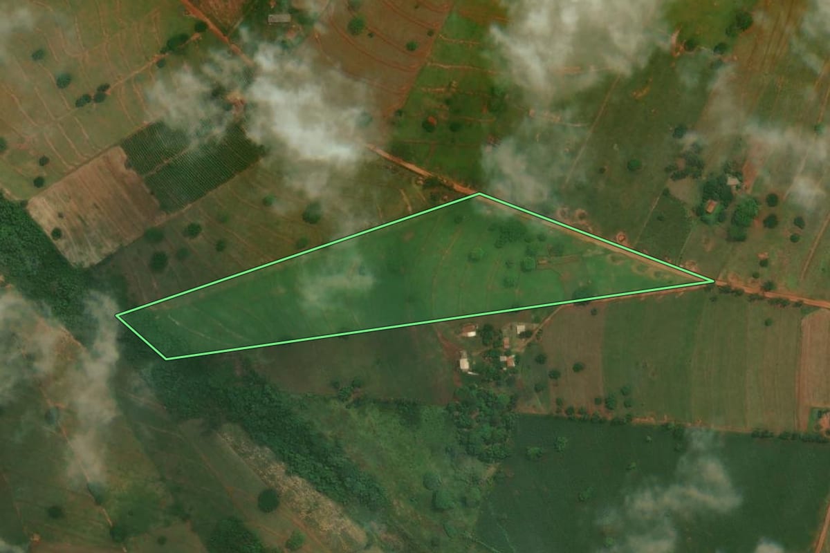 Imagem de satélite do imóvel rural em São Jorge do Patrocínio (PR), com o contorno declarado no CAR desenhado por cima.