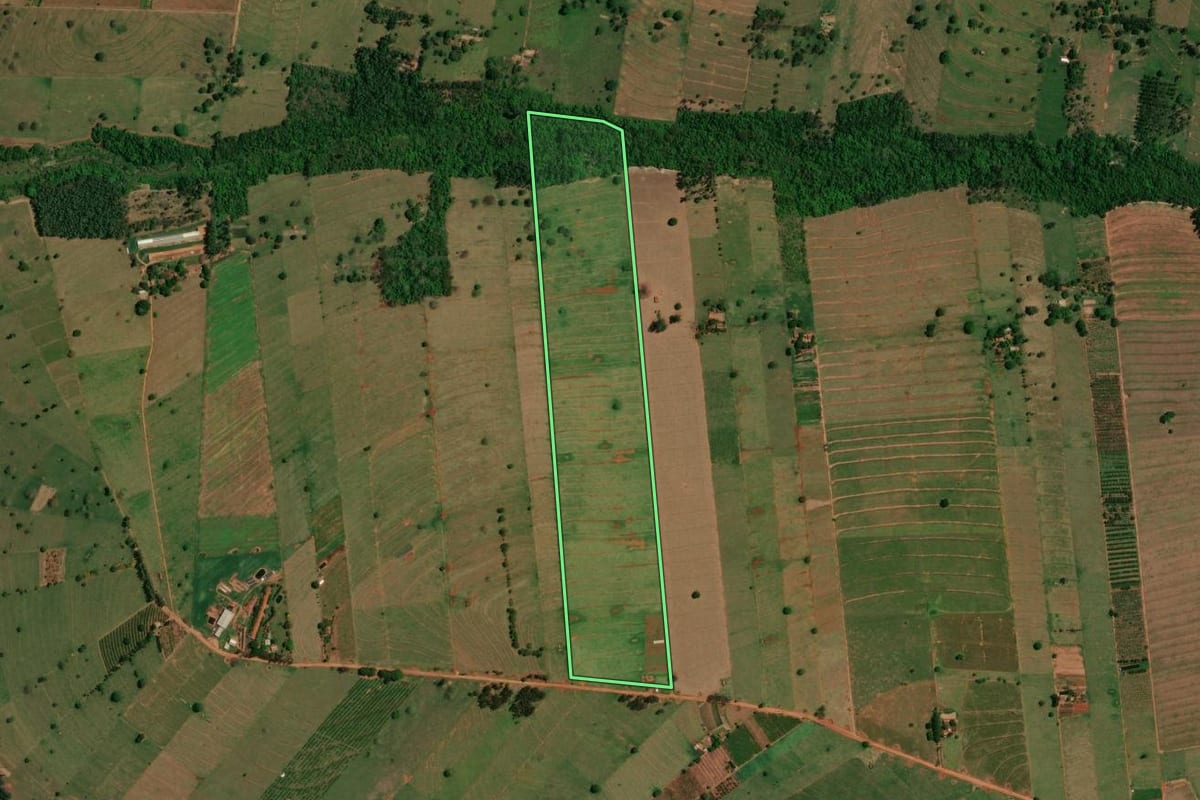 Imagem de satélite do imóvel rural em São Jorge do Patrocínio (PR), com o contorno declarado no CAR desenhado por cima.