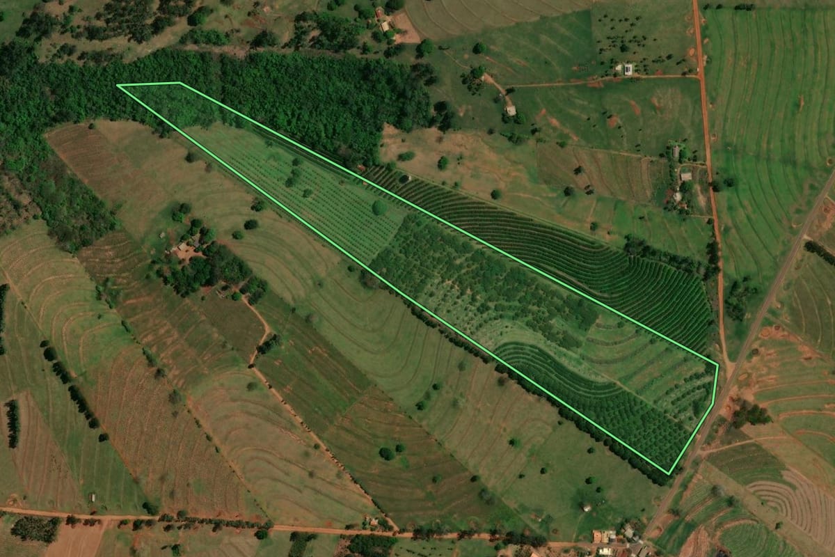 Imagem de satélite do imóvel rural em São Jorge do Patrocínio (PR), com o contorno declarado no CAR desenhado por cima.