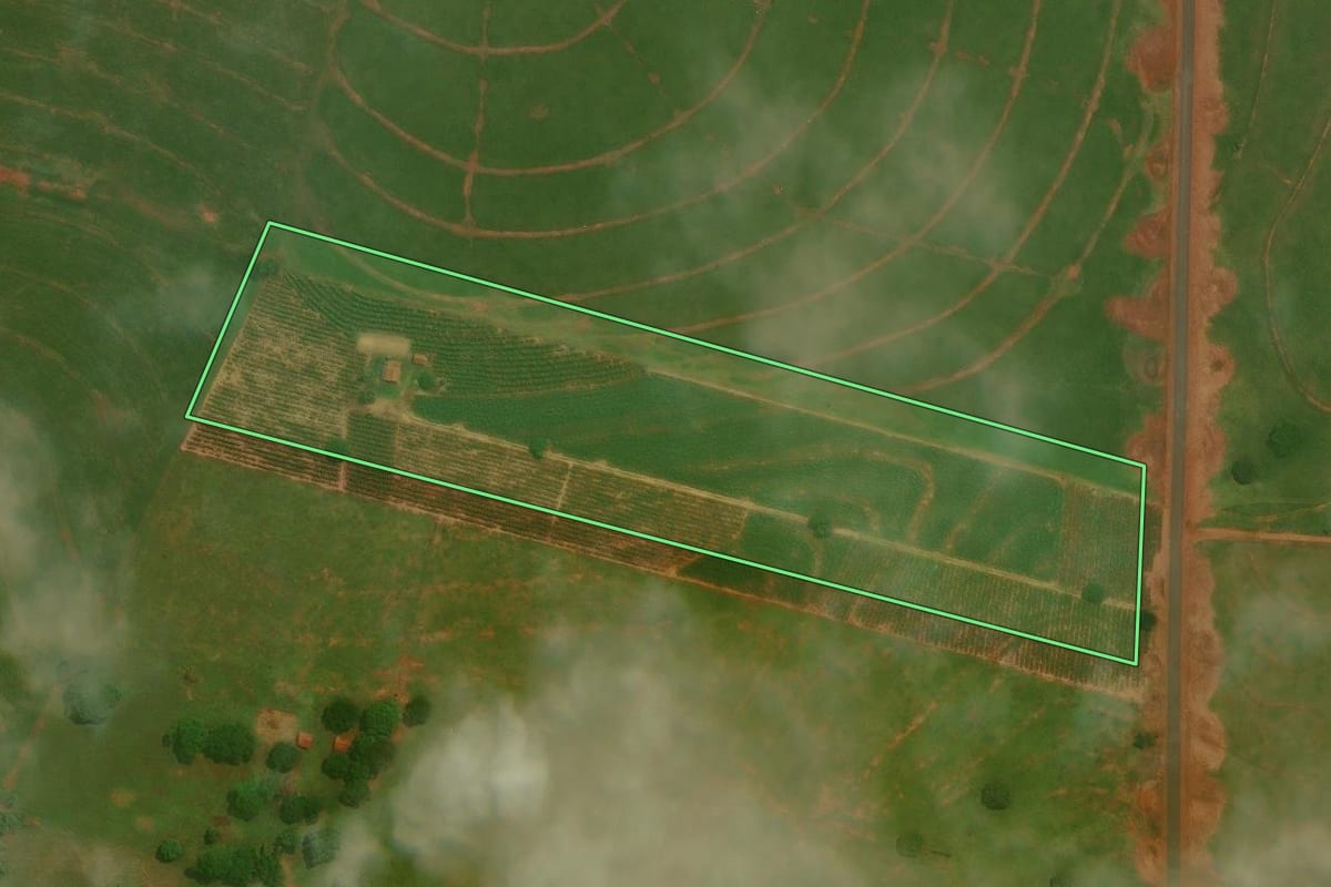 Imagem de satélite do imóvel rural em São Jorge do Patrocínio (PR), com o contorno declarado no CAR desenhado por cima.