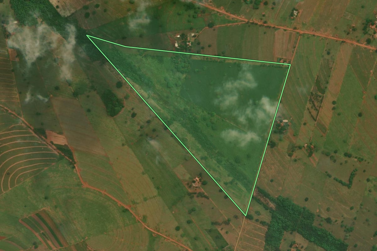 Imagem de satélite do imóvel rural em São Jorge do Patrocínio (PR), com o contorno declarado no CAR desenhado por cima.