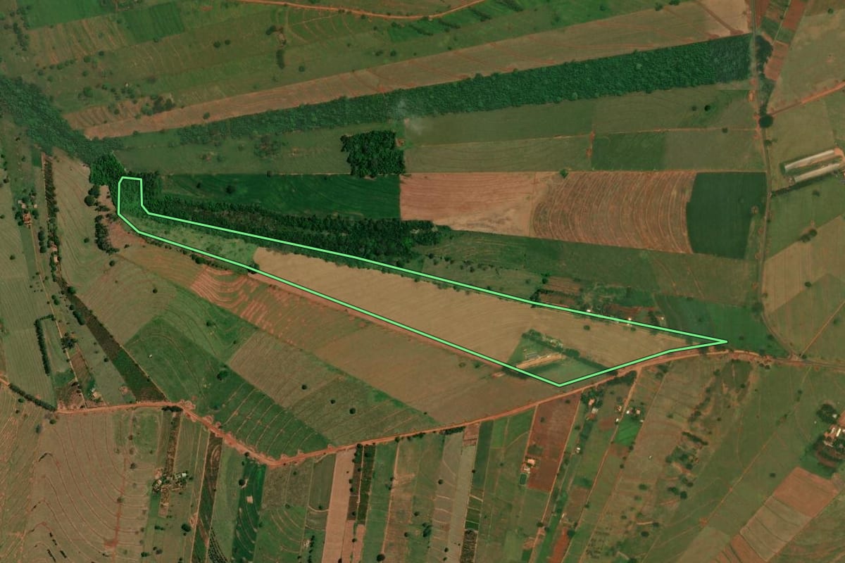 Imagem de satélite do imóvel rural em São Jorge do Patrocínio (PR), com o contorno declarado no CAR desenhado por cima.