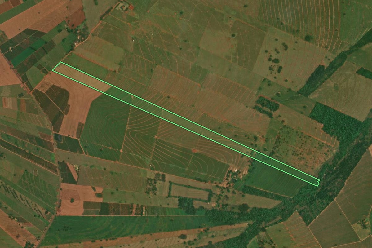 Imagem de satélite do imóvel rural em São Jorge do Patrocínio (PR), com o contorno declarado no CAR desenhado por cima.