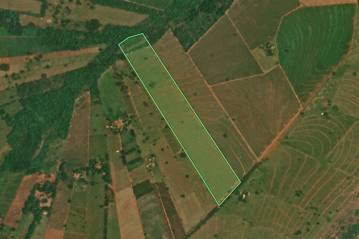 Imagem de satélite do imóvel rural em São Jorge do Patrocínio (PR), com o contorno declarado no CAR desenhado por cima.