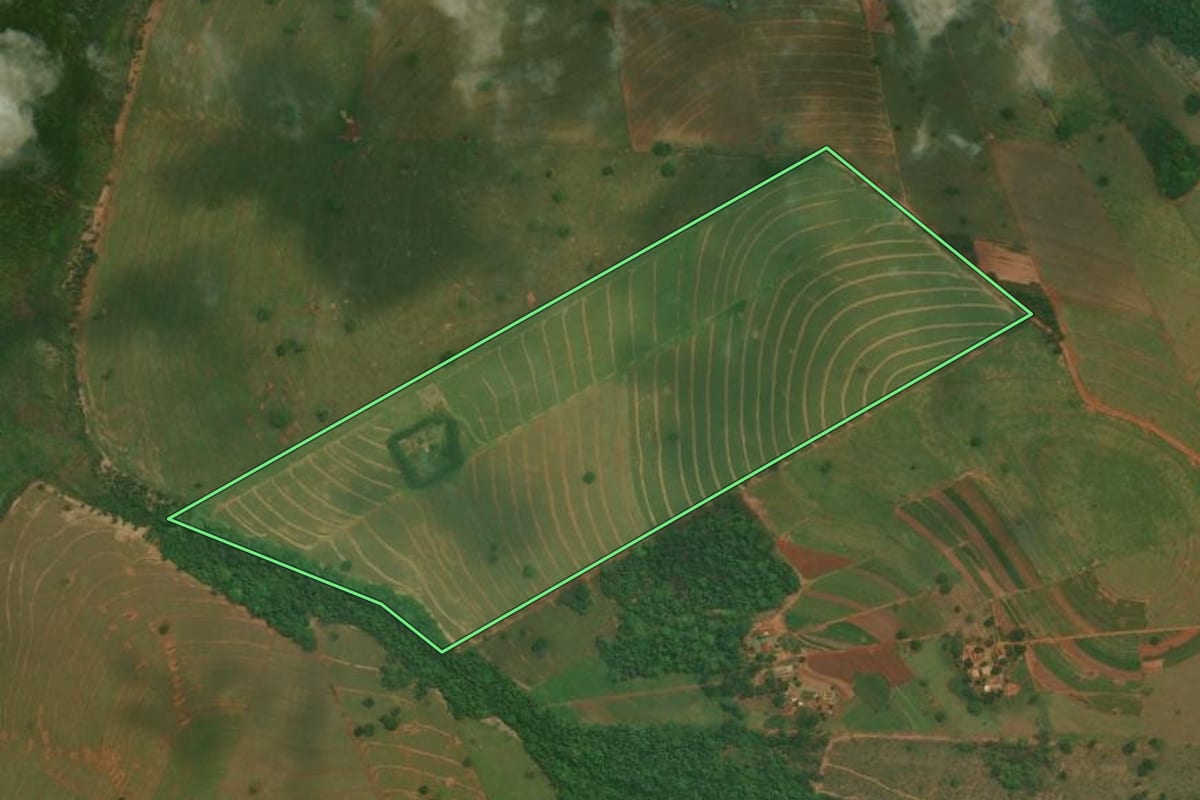 Imagem de satélite do imóvel rural em São Jorge do Patrocínio (PR), com o contorno declarado no CAR desenhado por cima.