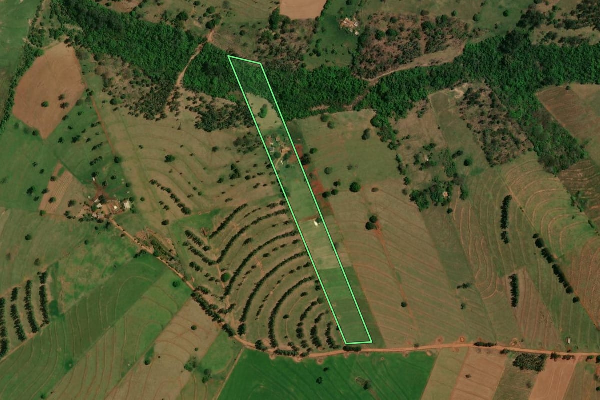 Imagem de satélite do imóvel rural em São Jorge do Patrocínio (PR), com o contorno declarado no CAR desenhado por cima.