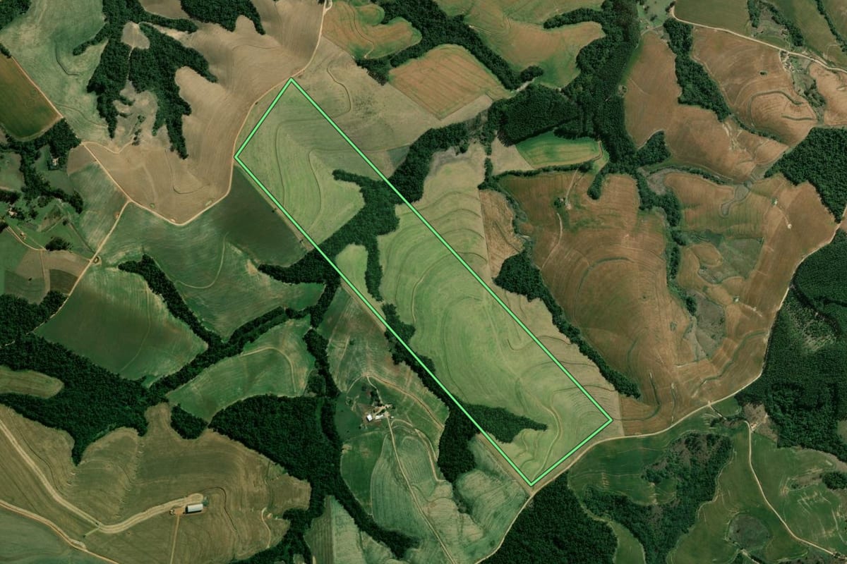 Imagem de satélite do imóvel rural em São José da Boa Vista (PR), com o contorno declarado no CAR desenhado por cima.