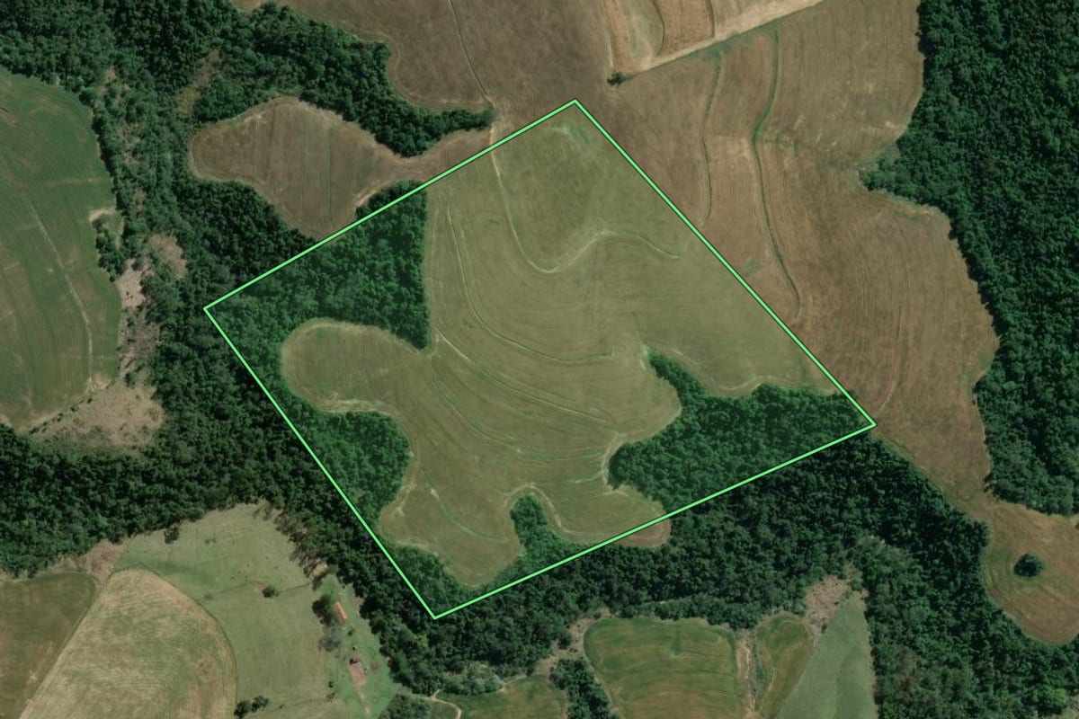 Imagem de satélite do imóvel rural em São José da Boa Vista (PR), com o contorno declarado no CAR desenhado por cima.