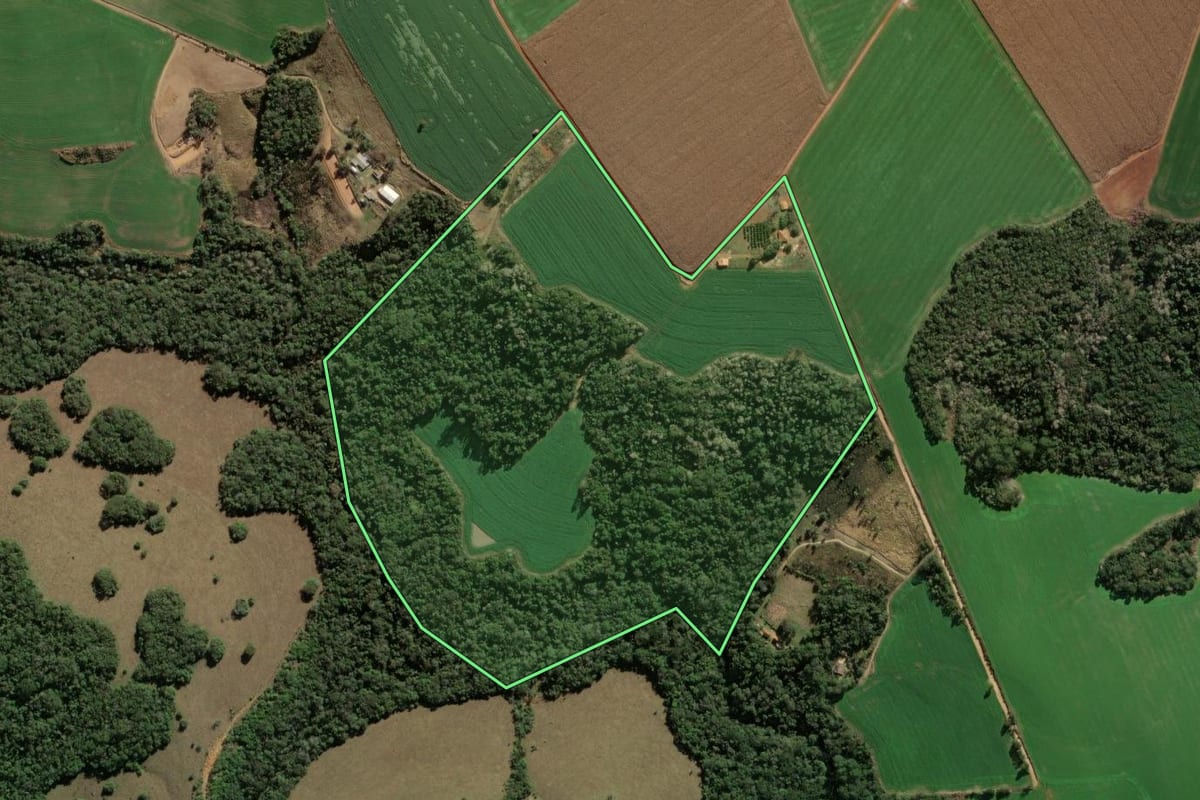 Imagem de satélite do imóvel rural em São José da Boa Vista (PR), com o contorno declarado no CAR desenhado por cima.