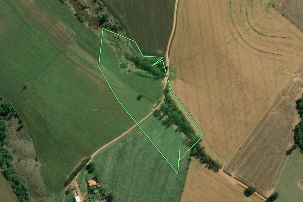 Imagem de satélite do imóvel rural em São José da Boa Vista (PR), com o contorno declarado no CAR desenhado por cima.