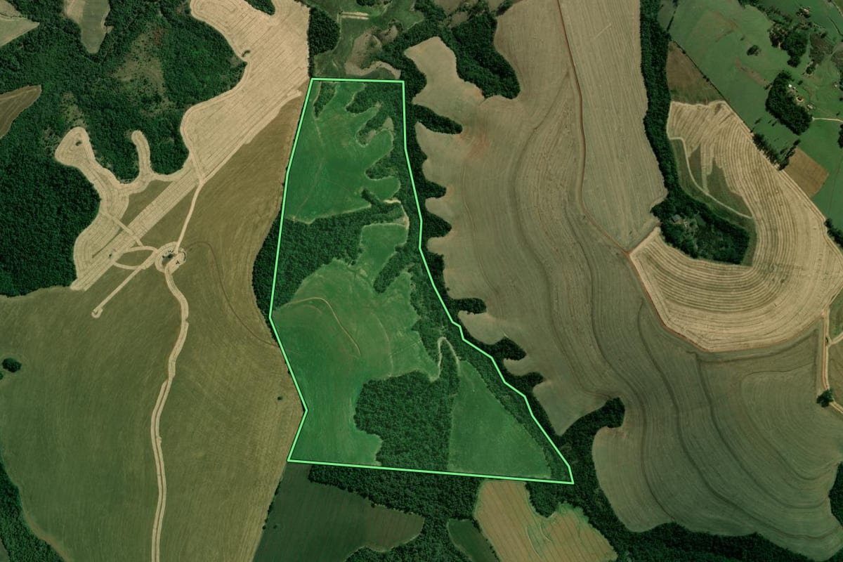Imagem de satélite do imóvel rural em São José da Boa Vista (PR), com o contorno declarado no CAR desenhado por cima.