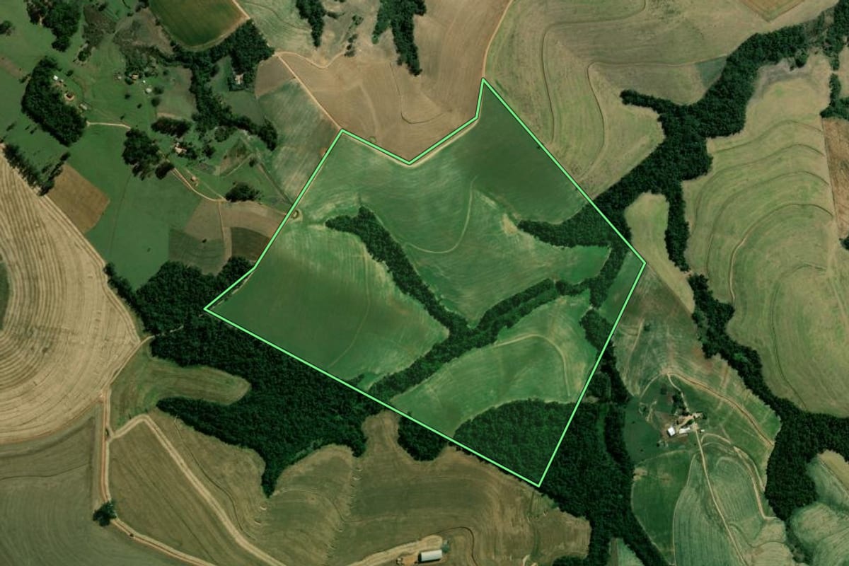 Imagem de satélite do imóvel rural em São José da Boa Vista (PR), com o contorno declarado no CAR desenhado por cima.
