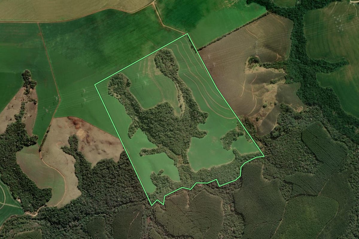 Imagem de satélite do imóvel rural em São José da Boa Vista (PR), com o contorno declarado no CAR desenhado por cima.