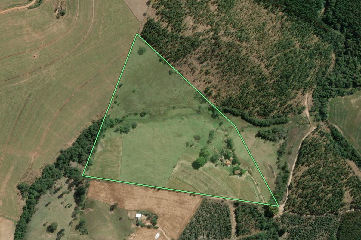 Imagem de satélite do imóvel rural em São José da Boa Vista (PR), com o contorno declarado no CAR desenhado por cima.
