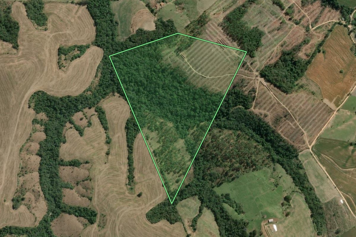 Imagem de satélite do imóvel rural em São José da Boa Vista (PR), com o contorno declarado no CAR desenhado por cima.