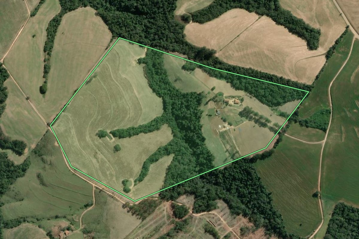 Imagem de satélite do imóvel rural em São José da Boa Vista (PR), com o contorno declarado no CAR desenhado por cima.