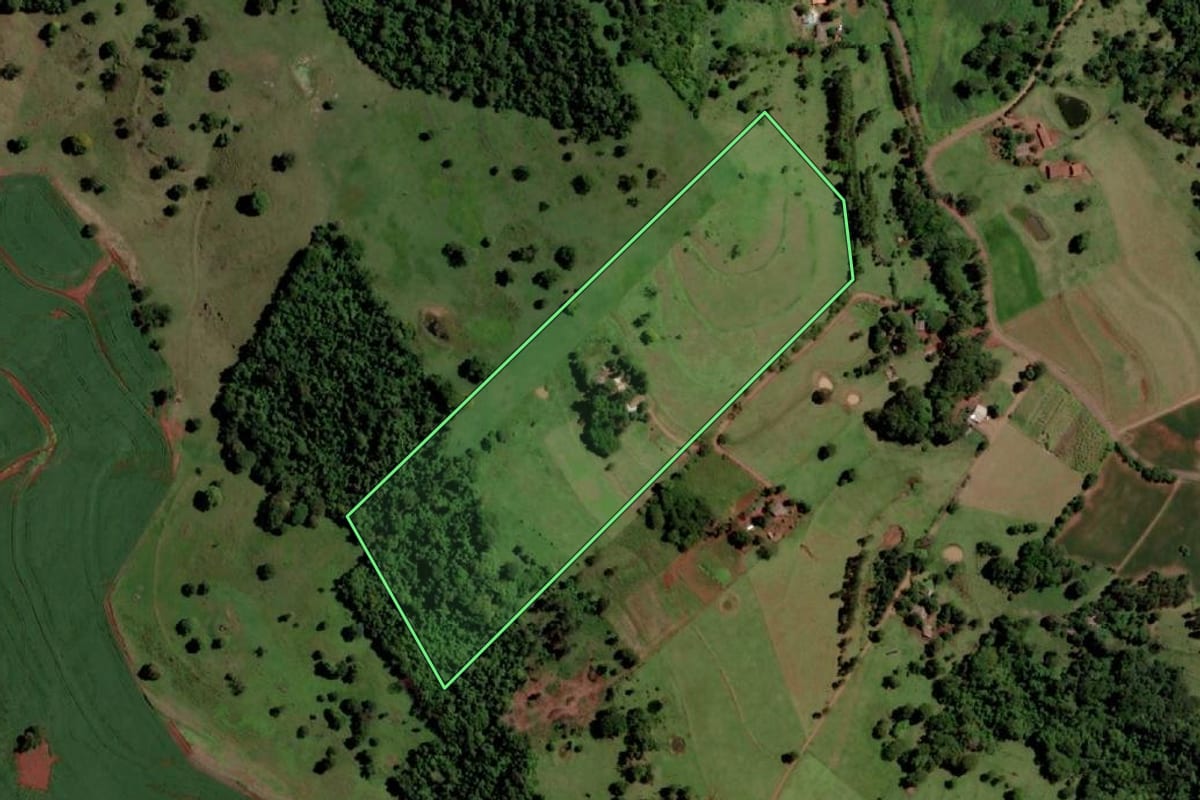 Imagem de satélite do imóvel rural em São José das Palmeiras (PR), com o contorno declarado no CAR desenhado por cima.