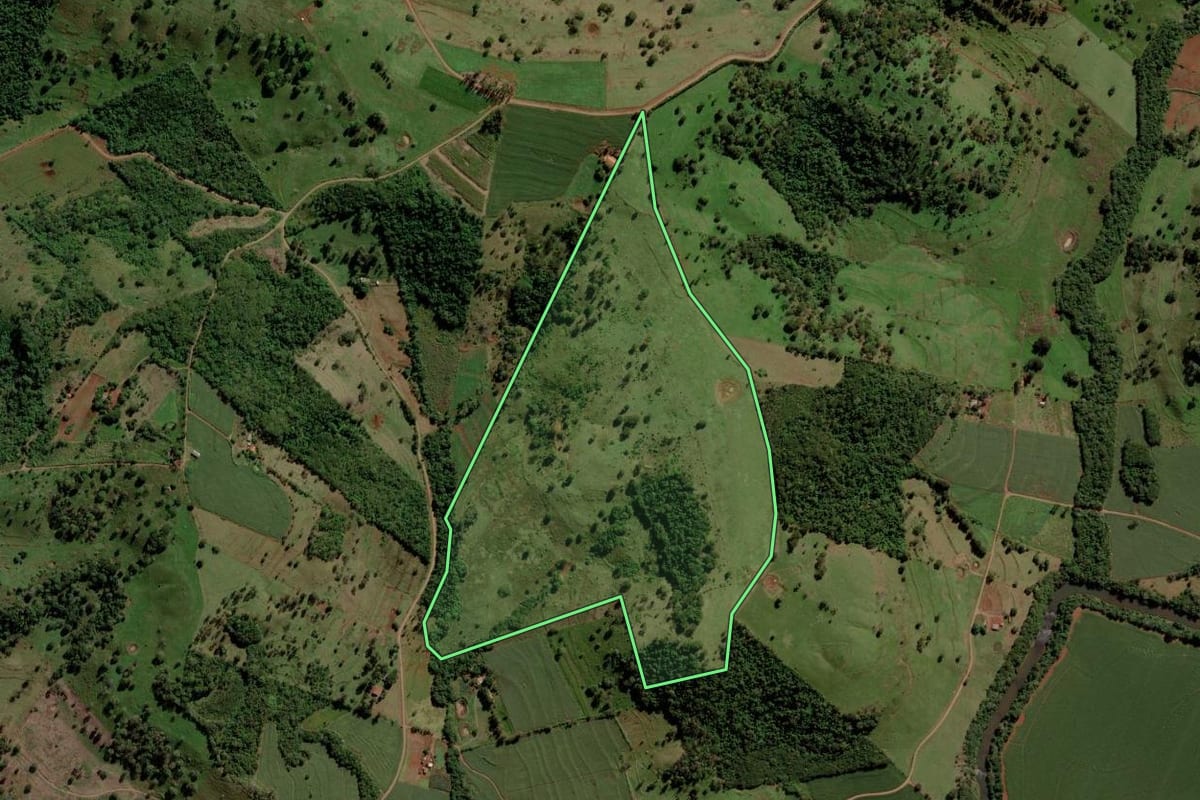 Imagem de satélite do imóvel rural em São José das Palmeiras (PR), com o contorno declarado no CAR desenhado por cima.