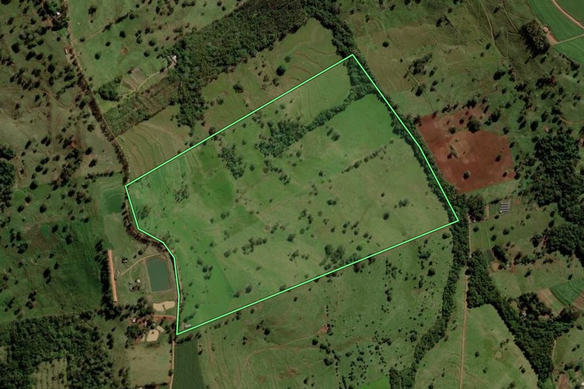 Imagem de satélite do imóvel rural em São José das Palmeiras (PR), com o contorno declarado no CAR desenhado por cima.