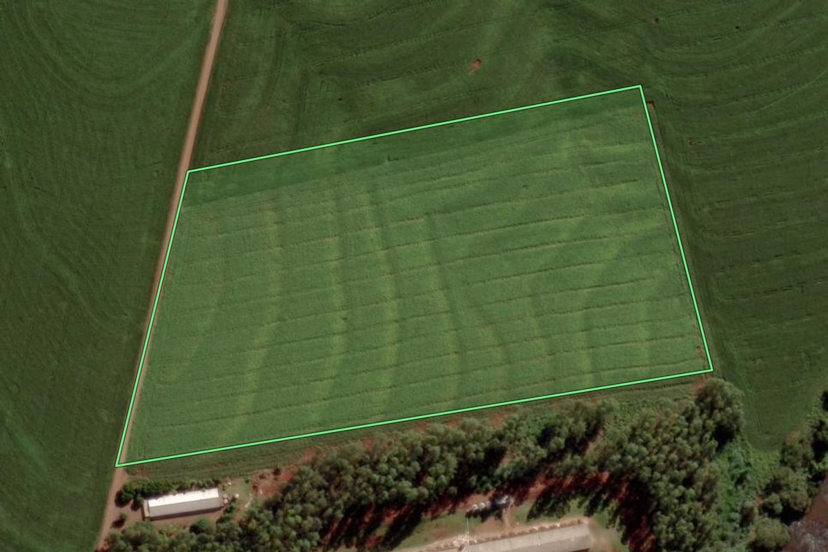Imagem de satélite do imóvel rural em São José das Palmeiras (PR), com o contorno declarado no CAR desenhado por cima.