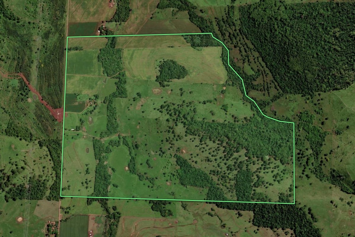 Imagem de satélite do imóvel rural em São José das Palmeiras (PR), com o contorno declarado no CAR desenhado por cima.