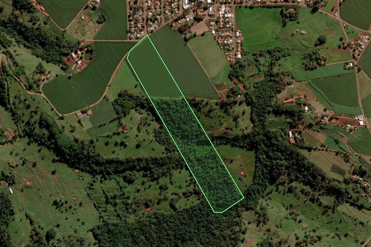 Imagem de satélite do imóvel rural em São José das Palmeiras (PR), com o contorno declarado no CAR desenhado por cima.