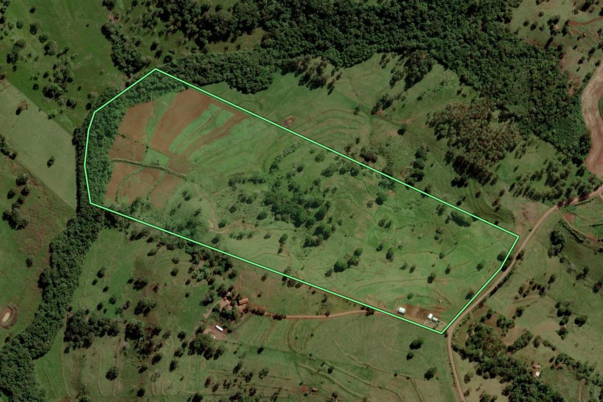 Imagem de satélite do imóvel rural em São José das Palmeiras (PR), com o contorno declarado no CAR desenhado por cima.